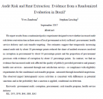Does a higher risk of an external audit reduce corruption in procurement and service delivery