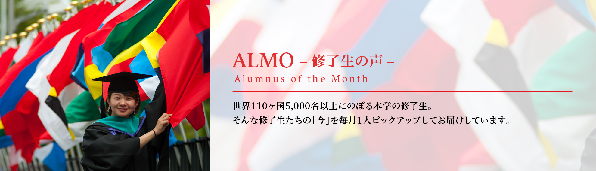 ALMO_bnr_jp