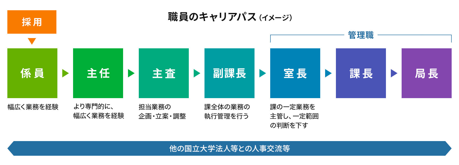 職員のキャリアパス