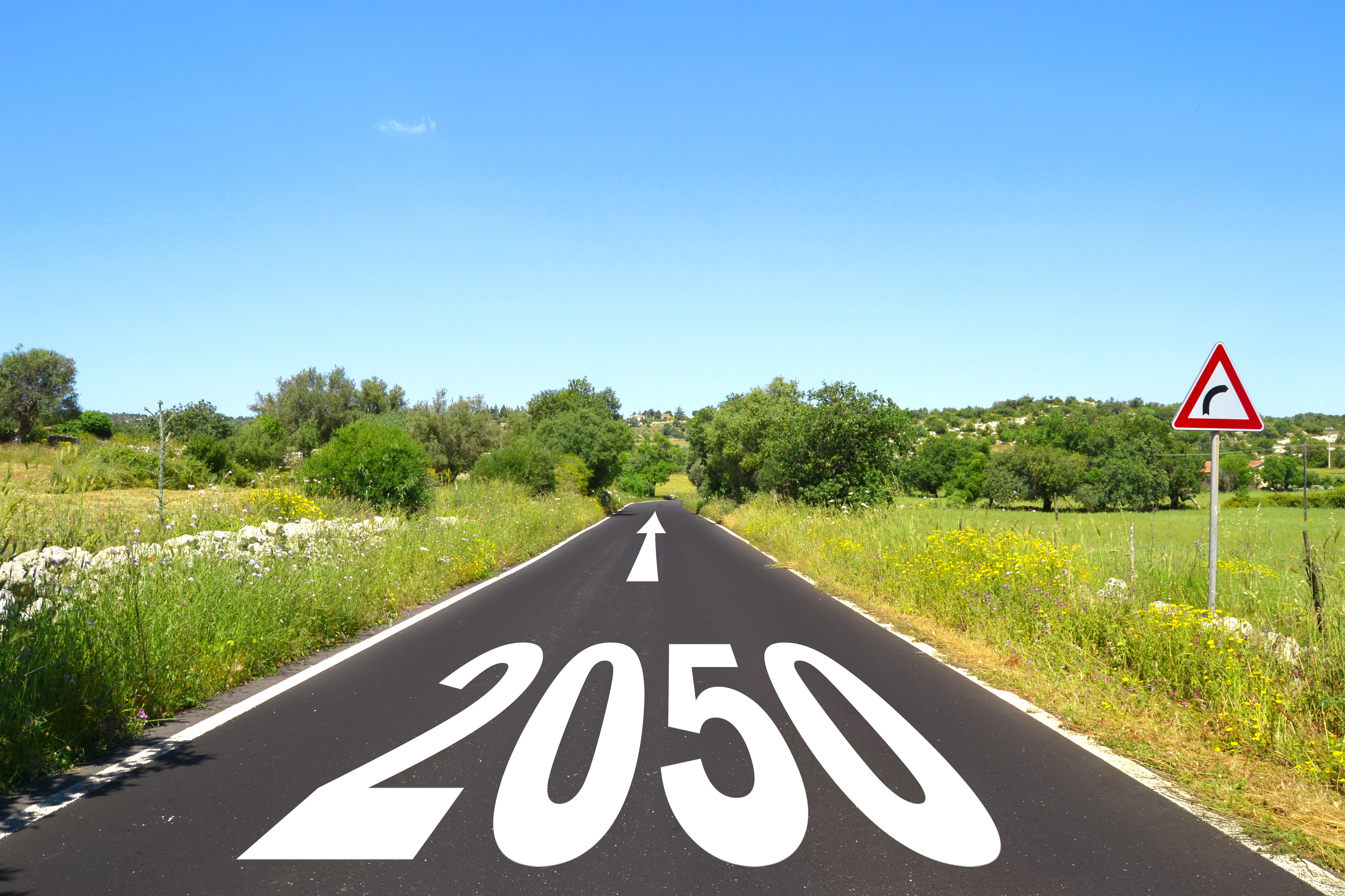 happy new year 2050, road